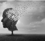 אטרופיה מוחית - תמונת המחשה